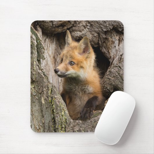 Kleiner Rotfuchs in einem Baumhaufen Mousepad (Mit Mouse)