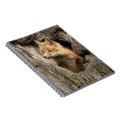Kleiner Rotfuchs in einem Baumhaufen Notizblock (Rechte Seite)
