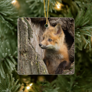 Kleiner Rotfuchs in einer Baumhöhle Keramikornament