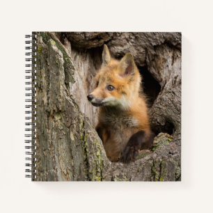 Kleiner Rotfuchs in einer Baumhöhle Notizblock