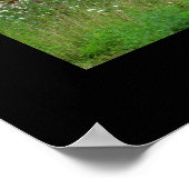 kleiner Rottschuh Poster (Ecke)