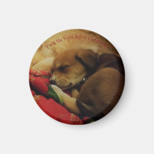 Kleiner, runder Leeloo Weihnachtsmagnet Magnet
