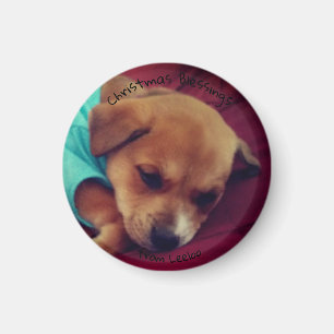 Kleiner, runder Leeloo Welpen-Weihnachtsmagnet Magnet
