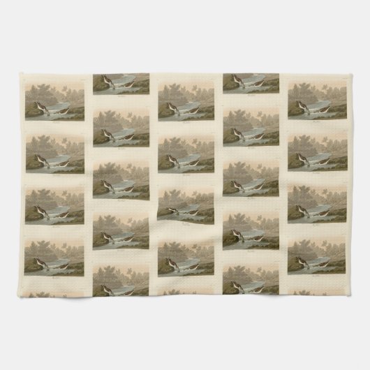 Kleiner Sandpiper von Audubons Vögeln in Amerika Geschirrtuch (Horizontal)