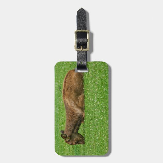 Kleiner Schlaf Gepäckanhänger (Vorderseite vertikal)