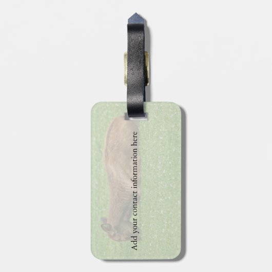 Kleiner Schlaf Gepäckanhänger (Rückseite vertikal)