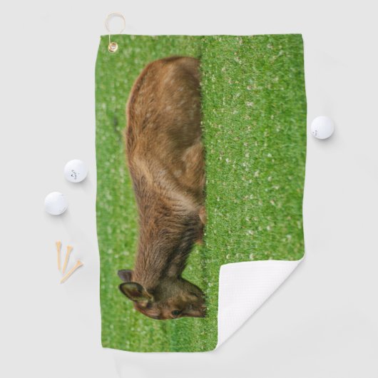 Kleiner Schlaf Golfhandtuch (Insitu)