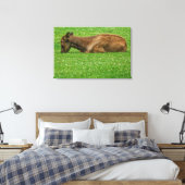 Kleiner Schlaf Leinwanddruck (Insitu (Schlafzimmer))