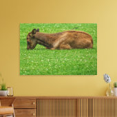 Kleiner Schlaf Leinwanddruck (Insitu (Wohnzimmer))