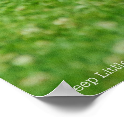 Kleiner Schlaf Poster (Ecke)