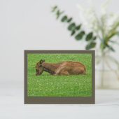 Kleiner Schlaf Postkarte (Stehend Vorderseite)