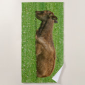 Kleiner Schlaf Strandtuch (Vorderseite)