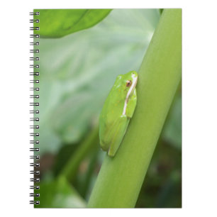 kleiner schlafender grüner Laubfrosch Notizblock