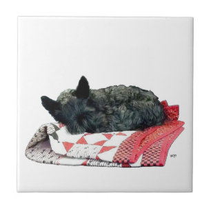 Kleiner schlafender Scottie-Hund Fliese