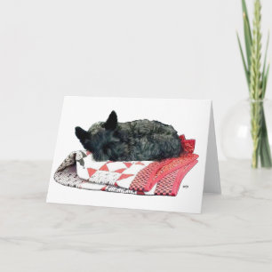 Kleiner schlafender Scottie-Hund Karte