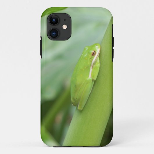 kleiner, schlafloser Grüner Frosch Case-Mate iPhone Hülle (Rückseite)