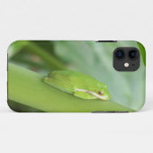 kleiner, schlafloser Grüner Frosch Case-Mate iPhone Hülle (Rückseite (Horizontal))