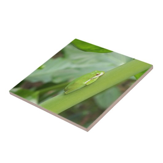 kleiner, schlafloser Grüner Frosch Fliese (Seite)