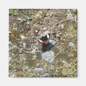 kleiner Schmetterlingsmagnet Magnet (Vorne)