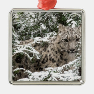 Kleiner Schneeleopard Silbernes Ornament