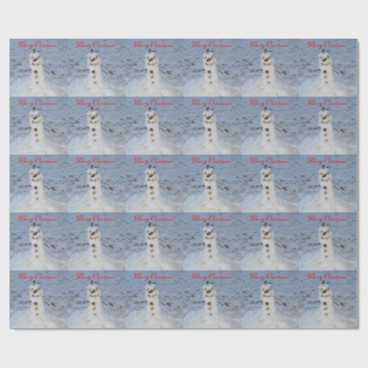 Kleiner Schneemann mit Pine Cone Nose Wrapping Pap Geschenkpapier (Flach)