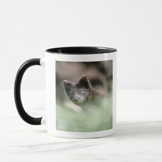Kleiner schwarzer Wolf Tasse (Links)