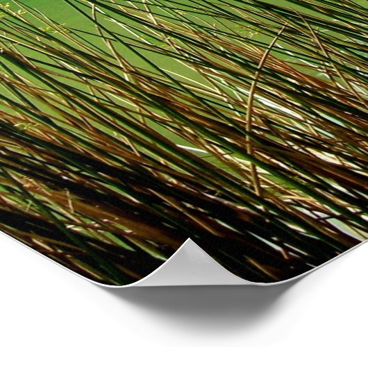 Kleiner See Poster (Ecke)