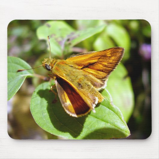 Kleiner Skipper Butterfly Maus Mat Mousepad (Vorne)