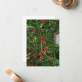 Kleiner Sommer Blütenrebe Mitteilungskarte (Vorderseite/Rückseite Beispiel)