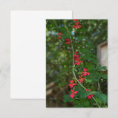 Kleiner Sommer Blütenrebe Mitteilungskarte (Vorne/Hinten)