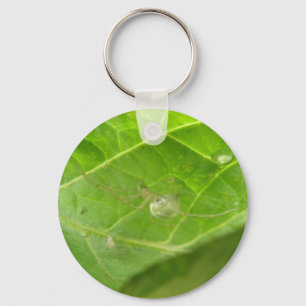 Kleiner Spider Schlüsselanhänger