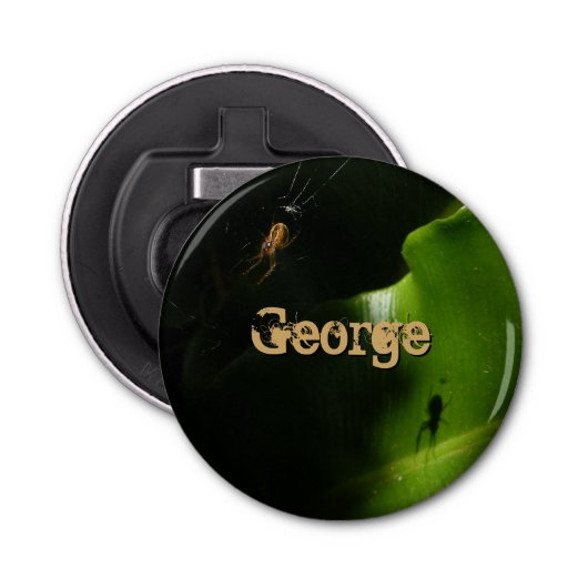 Kleiner Spinnen-Flaschen-Öffner Flaschenöffner (Vorderseite)