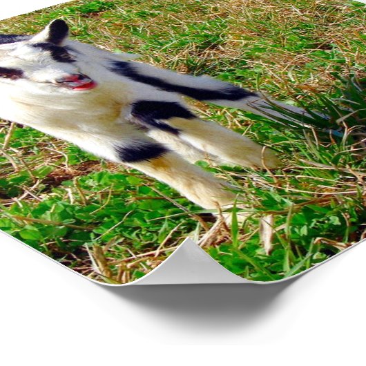 Kleiner Spot Poster (Ecke)