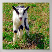 Kleiner Spot Poster (Vorne)