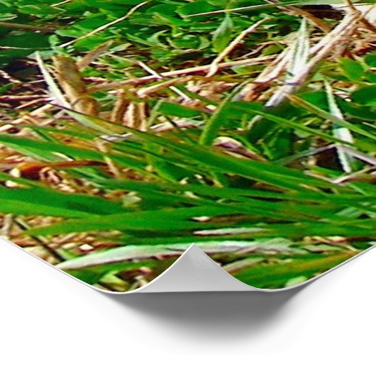 Kleiner Spot Poster (Ecke)