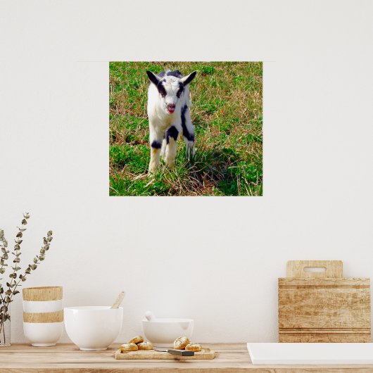 Kleiner Spot Poster (Küche)