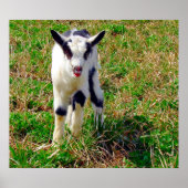 Kleiner Spot Poster (Vorne)