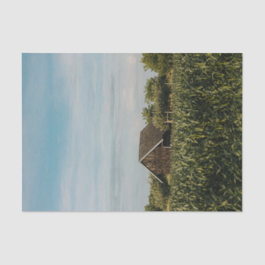 Kleiner Stall bis auf ein Cornfield Seidenpapier (Vorderseite)