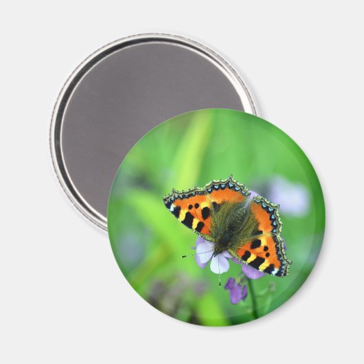 Kleiner Tortoiseshell Butterfly Magnet (Vorderseite/Rückseite)