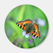 Kleiner Tortoiseshell Butterfly Magnet (Vorne)