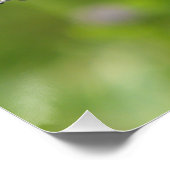 Kleiner Tortoiseshell Butterfly Poster (Ecke)