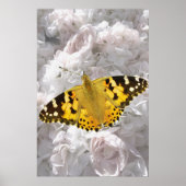 Kleiner Tortoiseshell Butterfly Poster (Vorne)