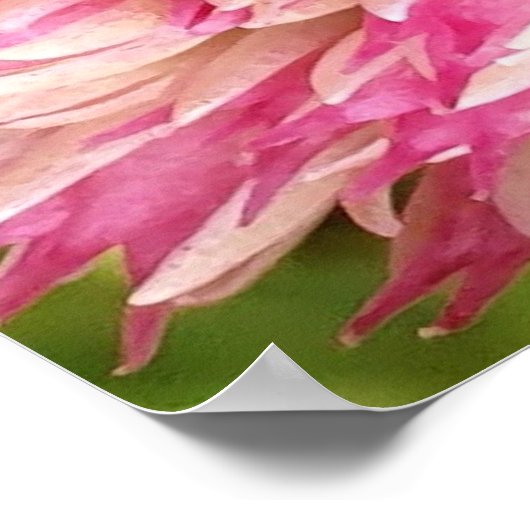 Kleiner Tortoiseshell Butterfly Poster (Ecke)