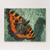 Kleiner Tortoiseshell Butterfly Puzzle (Horizontal)