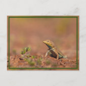 kleiner Typ Postkarte (Vorderseite)