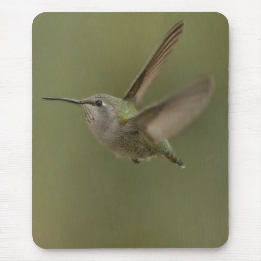 Kleiner und mächtiger Kolibri Mousepad (Vorne)