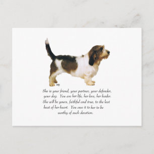 Kleiner Vendée-Griffon-Basset Hündin Postkarte