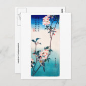 Kleiner Vogel auf der Burg Sakura Postkarte (Vorne/Hinten)