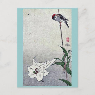 Kleiner Vogel auf der Pflanze der Lilie von Baison Postkarte