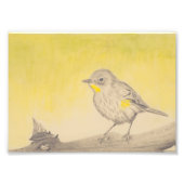 Kleiner Vogel Fotodruck (Vorne)